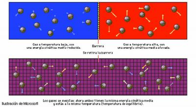 20070305001736-imagen2.jpg