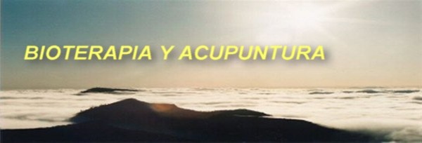 Vicente.Saavedra
